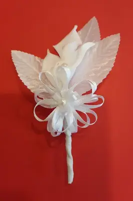 Accessory 5