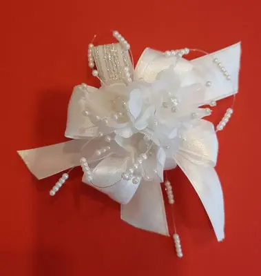 Accessory 7